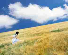 快​速﻿php开‌发‍工﻿具﻿有‍哪‌些‌